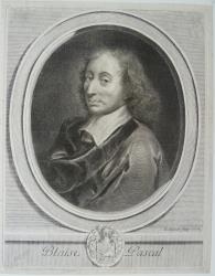 Afbeelding 1 van 1